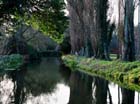 picture-13a