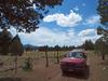 Laird'sCamp7849