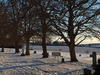 cemetery8156