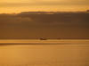 ships7854