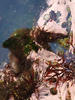 tidepool7959