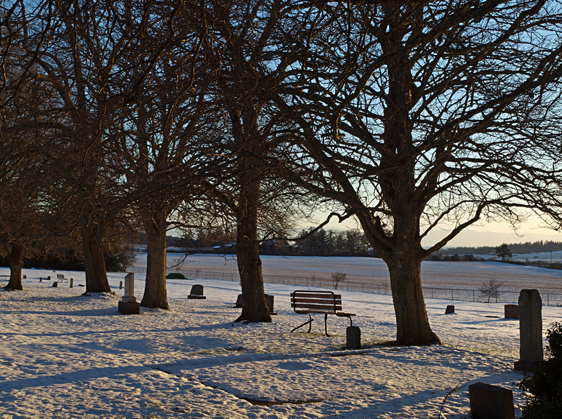 cemetery8156
