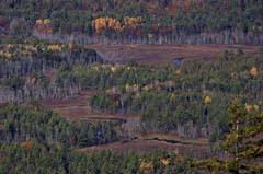 River-300mm