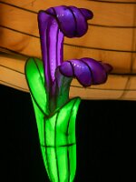 _B004817