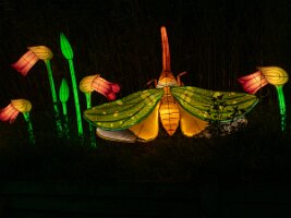 _B004830