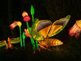 _B004832