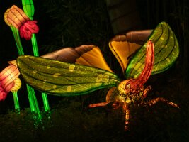 _B004833