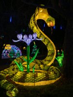 _B004886