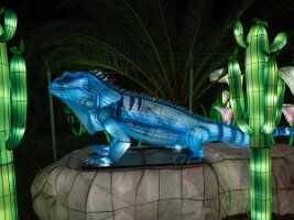 _B004887