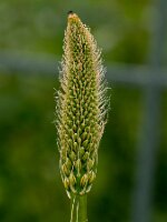 _B006044oofm