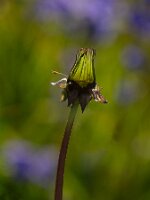 _B006315oofm